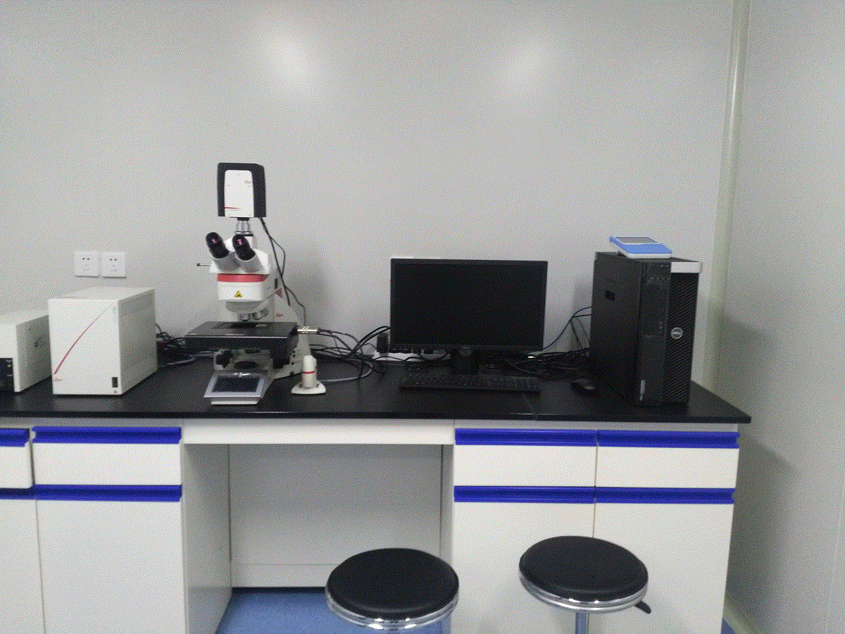 正置荧光显微镜（切片图像分析系统）